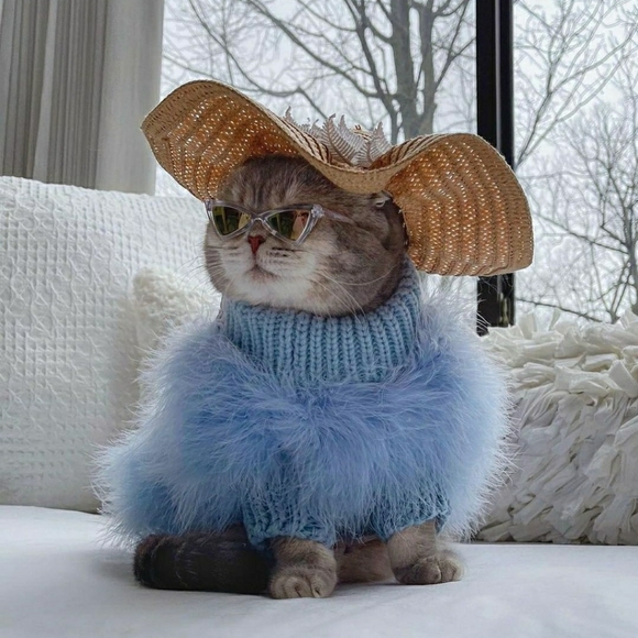 Meet your Posher, TT. - Picture 1 of 1